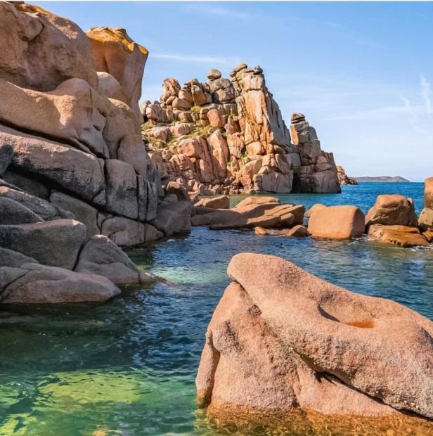 Le Macareux Daire Perros-Guirec Dış mekan fotoğraf